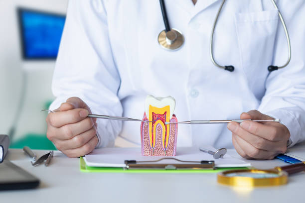 Best Emergency Root Canal Treatment in Pennville, PA